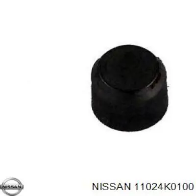 Tampão CBC/do bloco de cilindros Nissan Terrano II R20