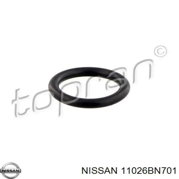 Vedante de caixa do termostato Nissan/Infiniti 5295200QAA preço, a partir de 1,84 USD