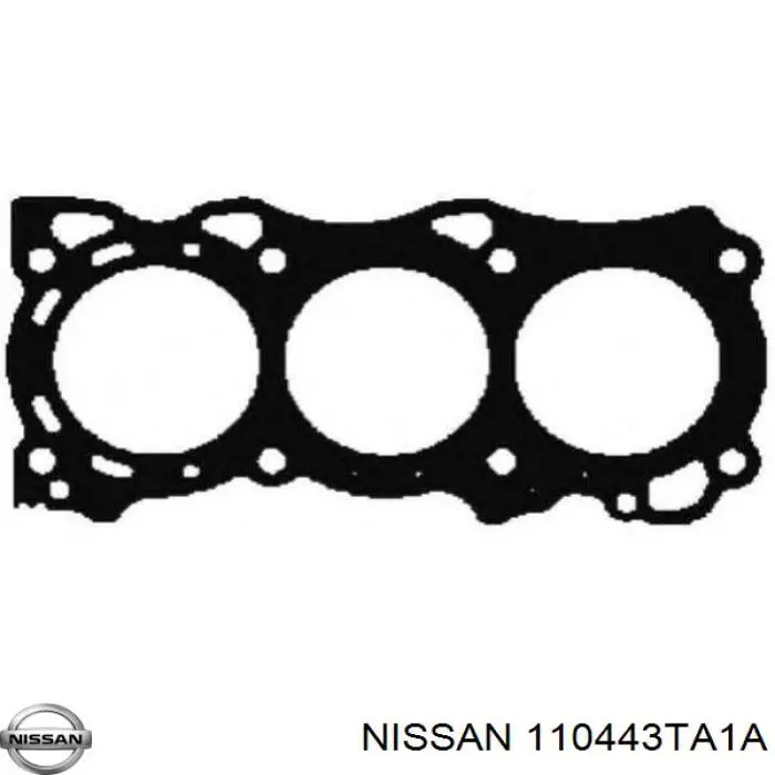 110443TA1A Nissan/Infiniti Vedante de cabeça de motor (CBC)
