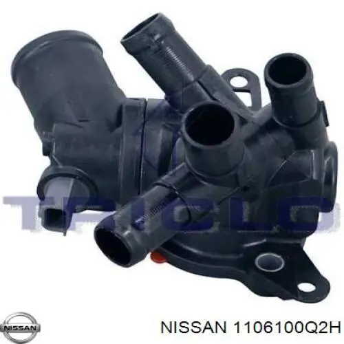  Nissan/Infiniti 1106100Q2H