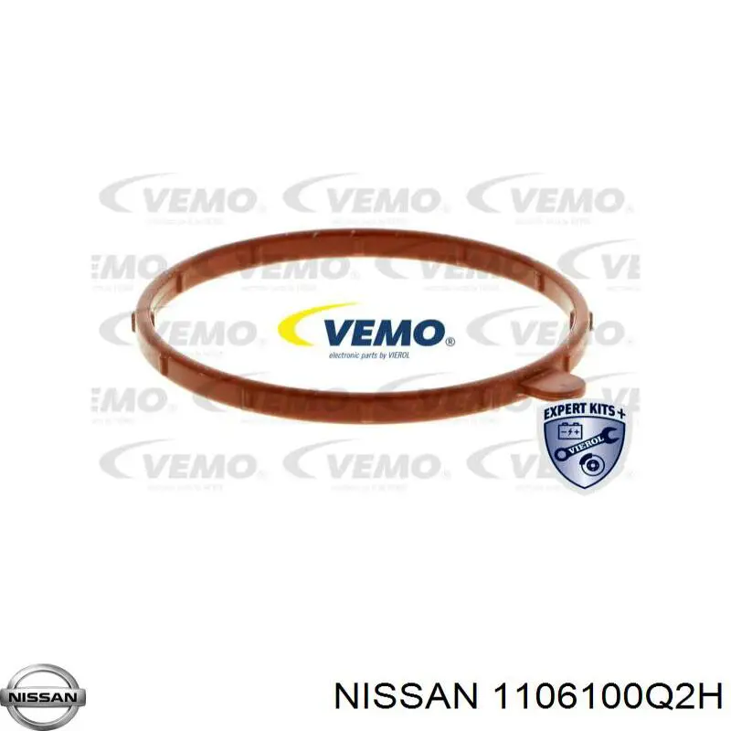 Termostato 1106100Q2H Nissan/Infiniti