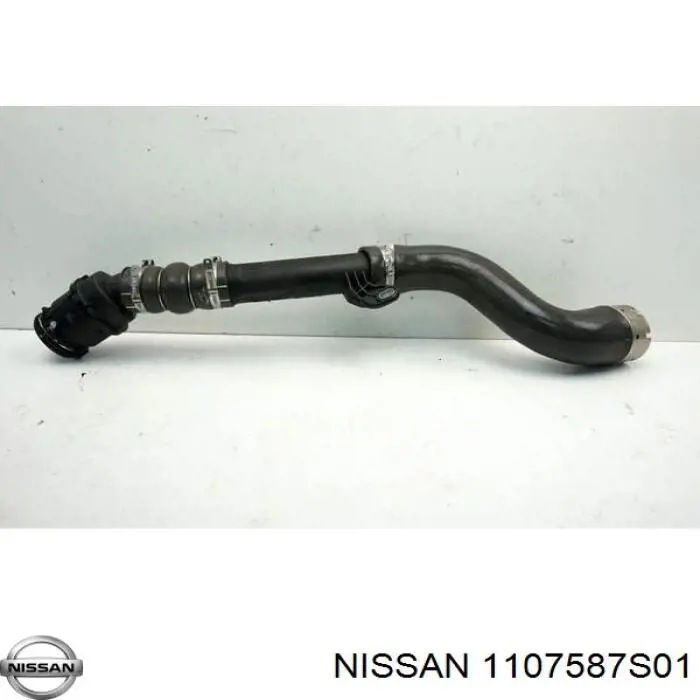  1107587S01 Nissan/Infiniti