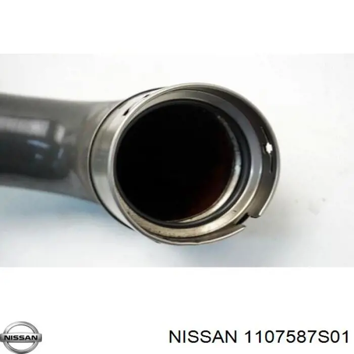  Nissan/Infiniti 1107587S01