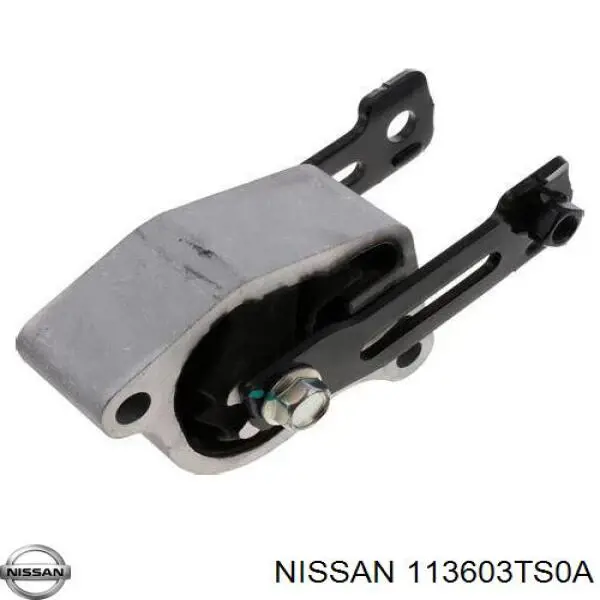 113603TS0A Nissan/Infiniti 