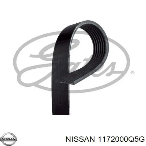 1172000Q5G Nissan/Infiniti Correia dos conjuntos de transmissão