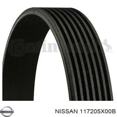 117205X00B Nissan/Infiniti Correia dos conjuntos de transmissão