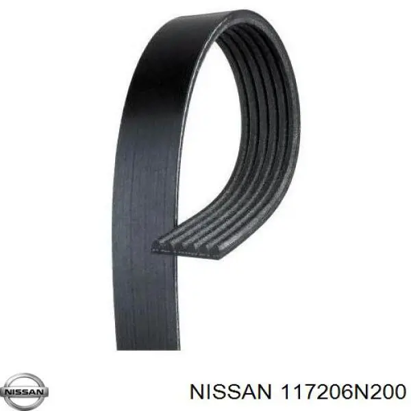 117206N200 Nissan/Infiniti Correia dos conjuntos de transmissão