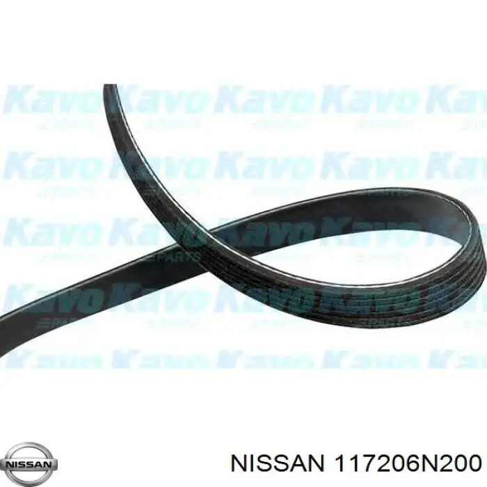 Compre 117206N200 Nissan/Infiniti Correia dos conjuntos de transmissão