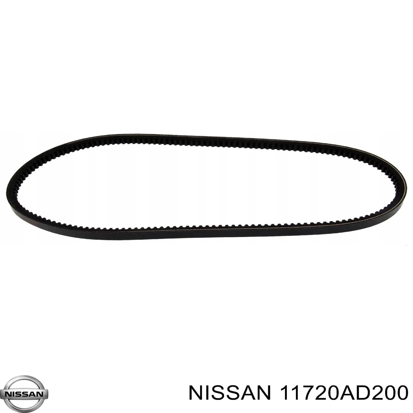 11720AD200 Nissan/Infiniti Correia dos conjuntos de transmissão