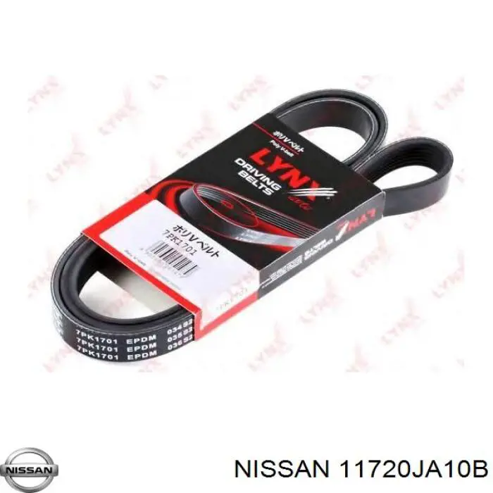 11720JA10B Nissan/Infiniti Correia dos conjuntos de transmissão
