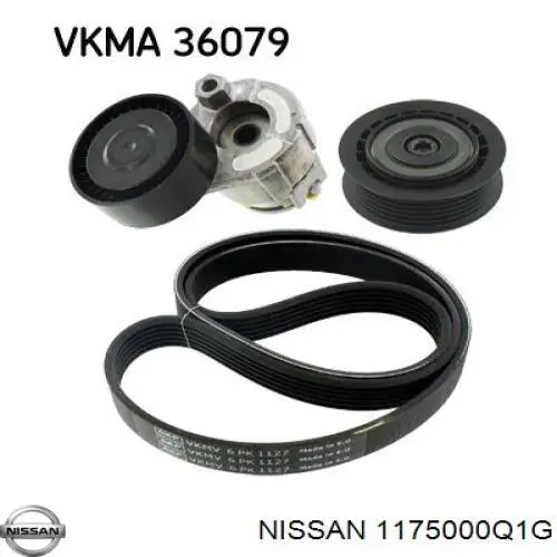 Reguladora de tensão da correia de transmissão Nissan/Infiniti 1175000Q1G preço, a partir de 39,46 USD