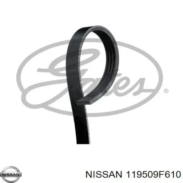 Correia dos conjuntos de transmissão Nissan/Infiniti 119509F610 preço, a partir de 8,58 USD