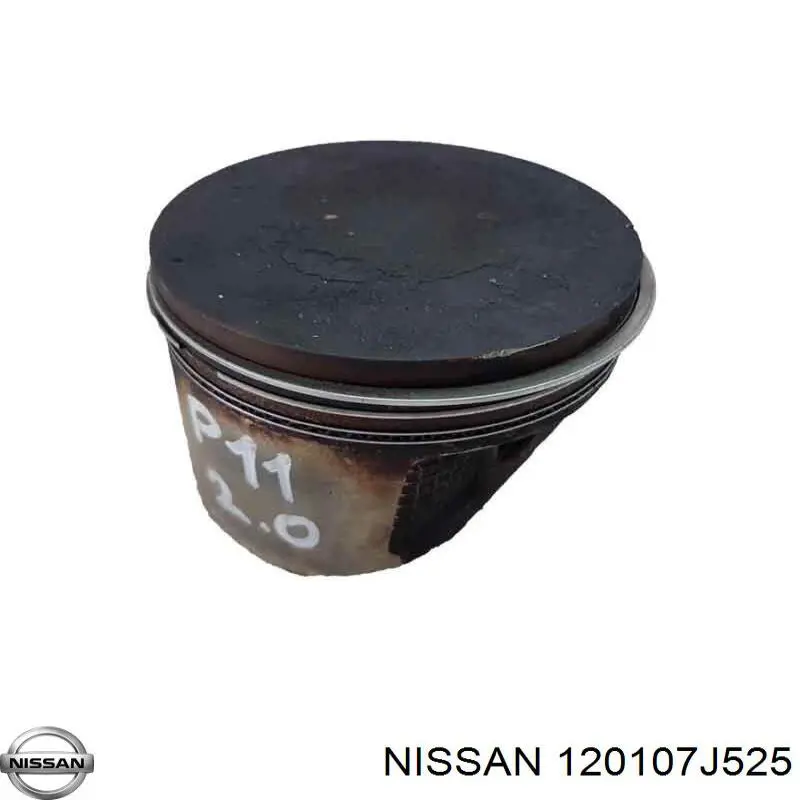 120107J525 Nissan/Infiniti 
