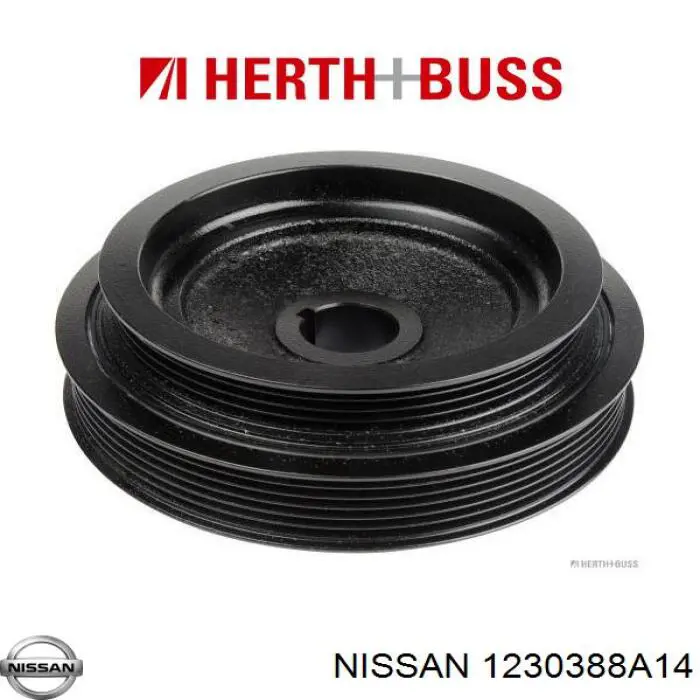 Polia de cambota Nissan/Infiniti 1230355Y00 preço, a partir de 51,17 USD