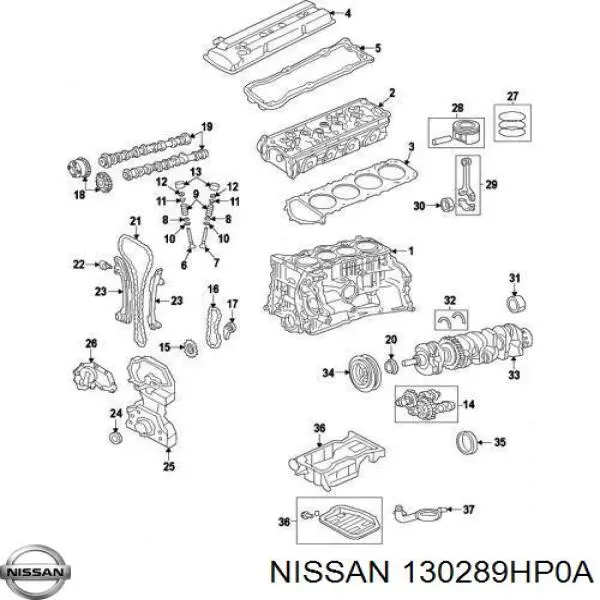 130289HP0A Nissan/Infiniti Cadeia do mecanismo de distribuição de gás