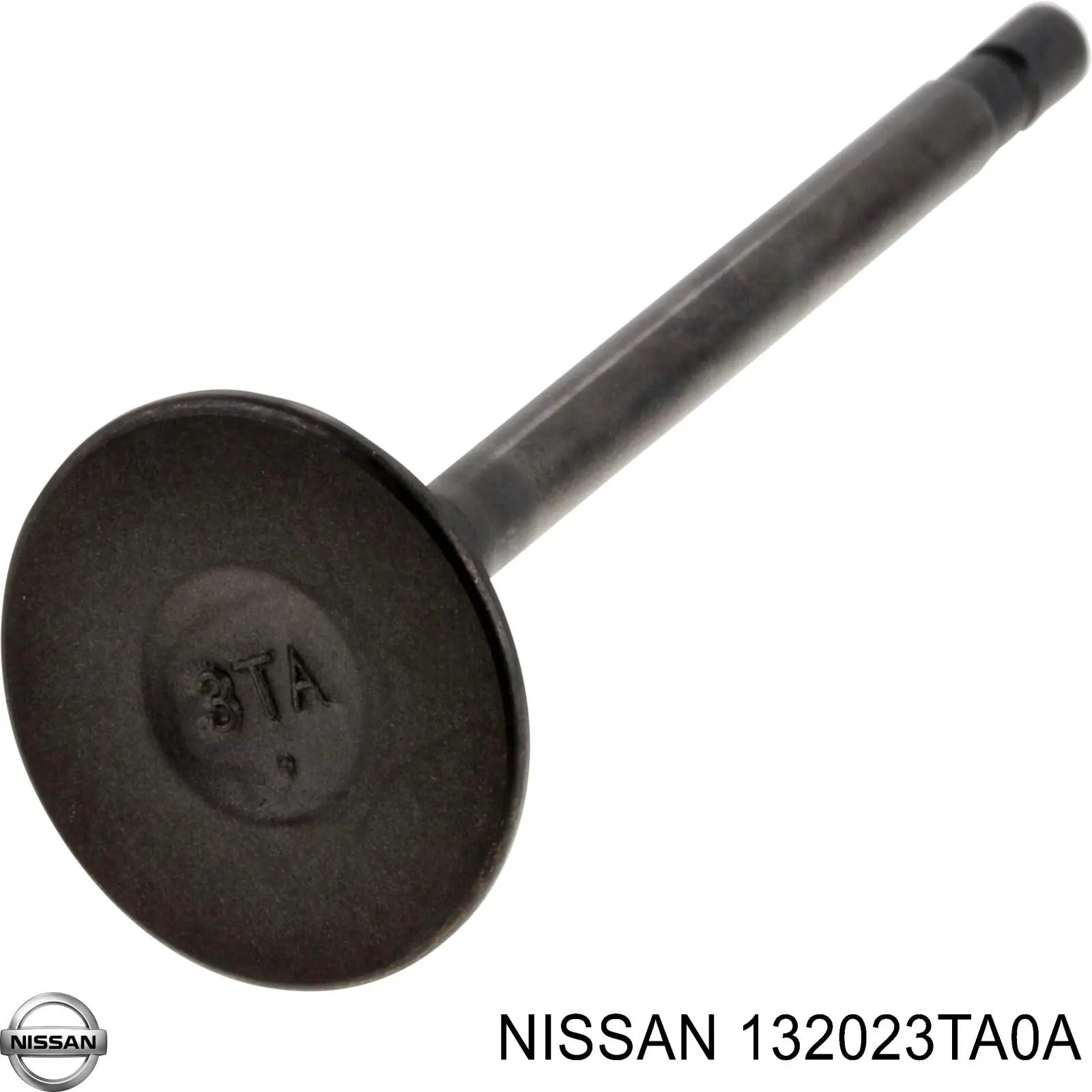 132023TA0A Nissan/Infiniti Válvula de escape