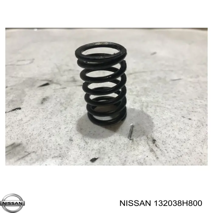 Compre 132038H800 Nissan/Infiniti 