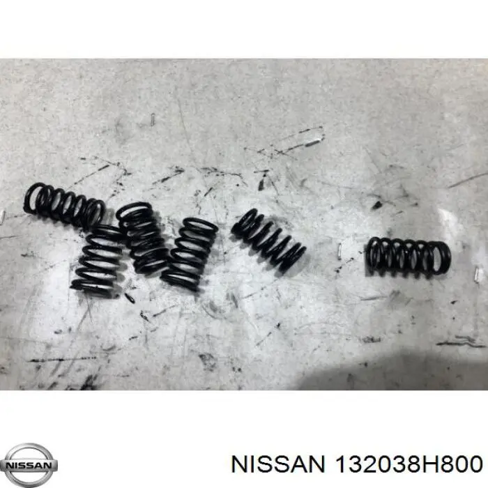 132038H800 Nissan/Infiniti 