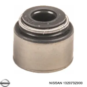 132073Z000 Nissan/Infiniti Bucim de válvula (coletor de óleo), admissão/escape