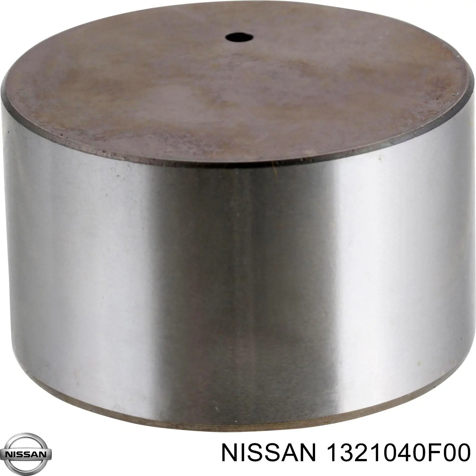 1321040F00 Nissan/Infiniti Peça inserida de válvula