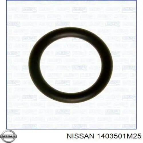 Compre 1403501M25 Nissan/Infiniti Vedante de tubo coletor de admissão