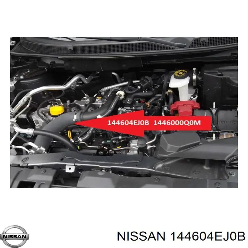 Compre GPPNS048 NTY Mangueira (cano derivado) de intercooler