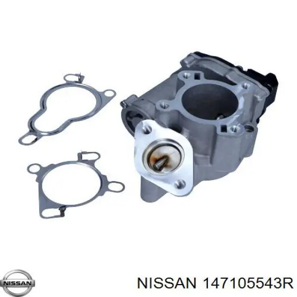 Compre 147105543R Nissan/Infiniti Válvula EGR de recirculação dos gases