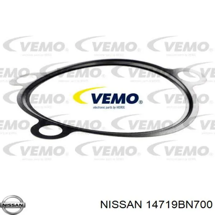 8200259649 Renault (RVI) Vedante de válvula EGR de recirculação