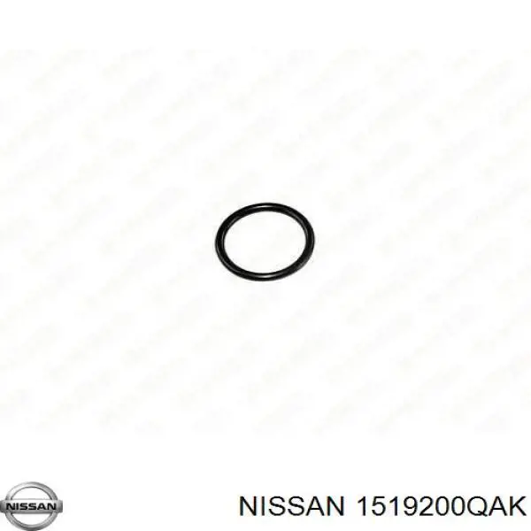 Compre 93161413 Opel Tubo (mangueira) de derivação de óleo de turbina