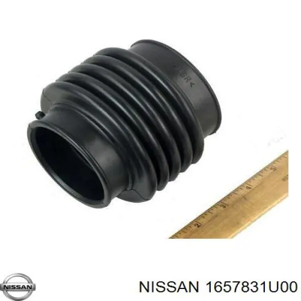 Compre AAHNI1003 Tenacity Cano derivado de ar, da válvula de borboleta
