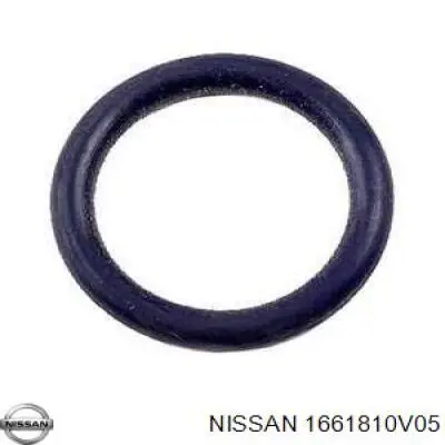 1661810V05 Nissan/Infiniti Anel (arruela) do injetor de ajuste