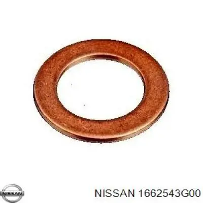 1662543G00 Nissan/Infiniti Anel (arruela) do injetor de ajuste