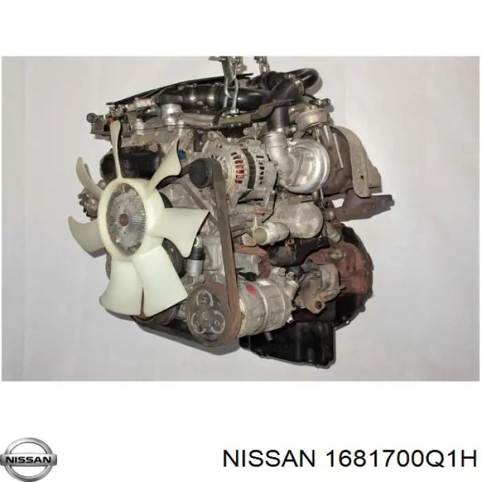 Compre 1681700Q1H Renault (RVI) Tubo de combustível, inverso desde os injetores