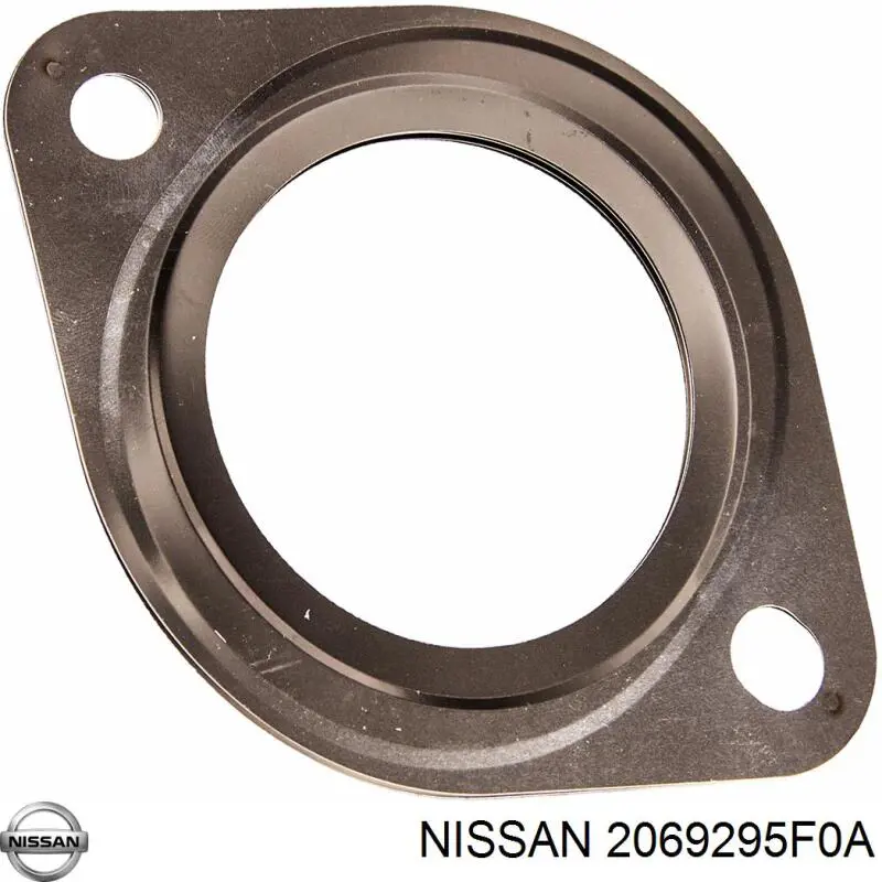 2069295F0A Nissan/Infiniti 