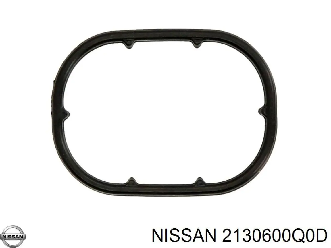 213041041R Renault (RVI) Vedante de adaptador do filtro de óleo