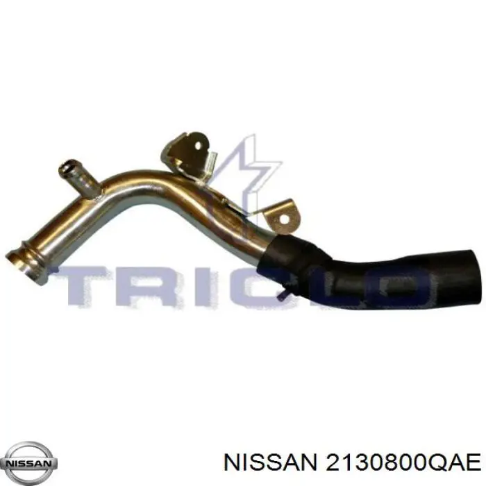 2130800QAE Nissan/Infiniti 