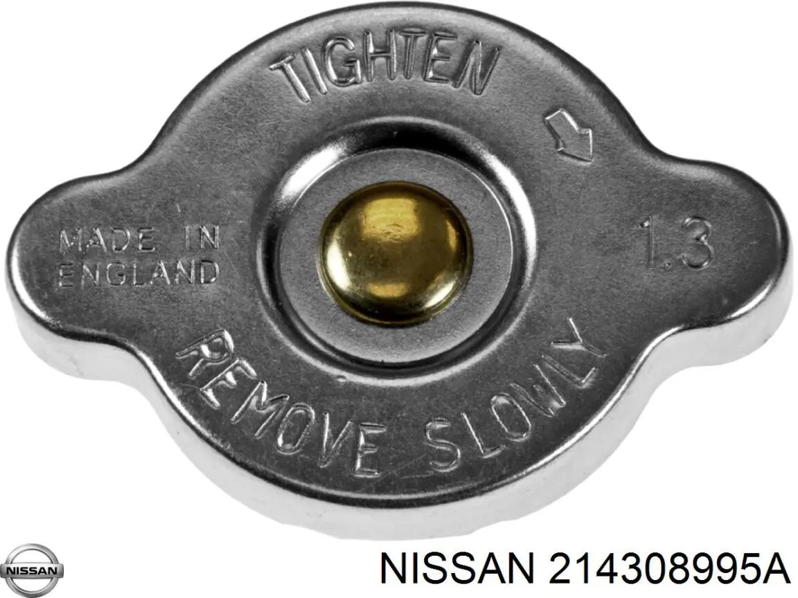214308995A Nissan/Infiniti 