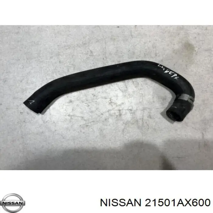 21501AX600 Nissan/Infiniti Mangueira (cano derivado) do radiador de esfriamento superior