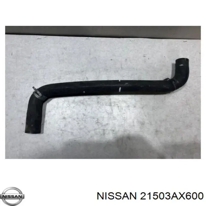 21503AX600 Nissan/Infiniti Mangueira (cano derivado) inferior do radiador de esfriamento