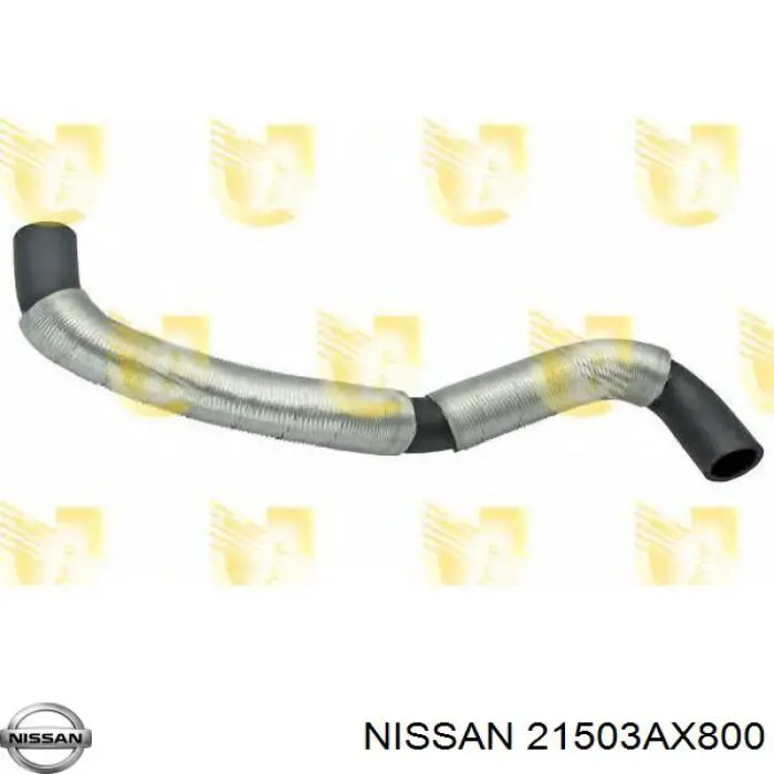 21503AX800 Nissan/Infiniti Mangueira (cano derivado) inferior do radiador de esfriamento