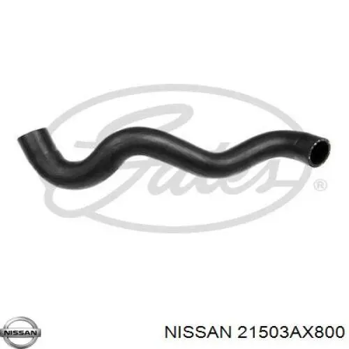 Mangueira (cano derivado) inferior do radiador de esfriamento Nissan/Infiniti 21503AX800 preço, a partir de 12,91 USD