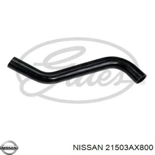 Compre 21503AX800 Nissan/Infiniti Mangueira (cano derivado) inferior do radiador de esfriamento