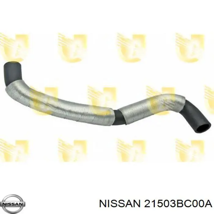 21503BC00A Nissan/Infiniti Mangueira (cano derivado) inferior do radiador de esfriamento