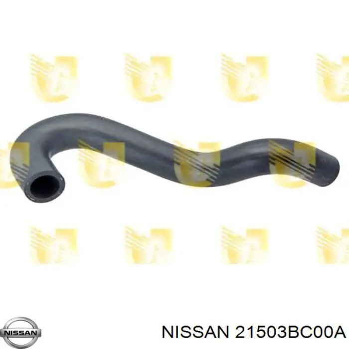 Mangueira (cano derivado) inferior do radiador de esfriamento Nissan/Infiniti 21503BC00A preço, a partir de 12,91 USD