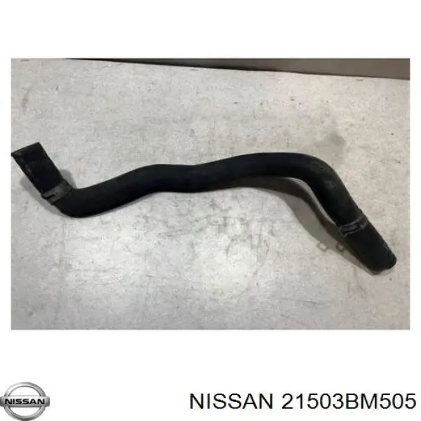 21503BM505 Nissan/Infiniti Mangueira (cano derivado) inferior do radiador de esfriamento