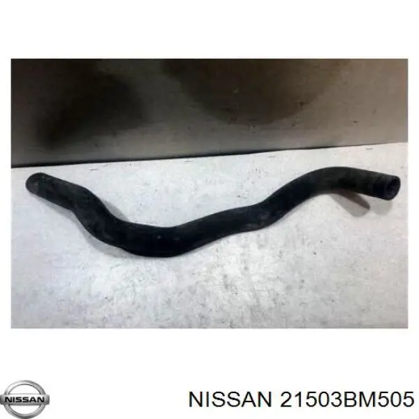 Mangueira (cano derivado) inferior do radiador de esfriamento Nissan/Infiniti 21503BM505 preço, a partir de 21,77 USD