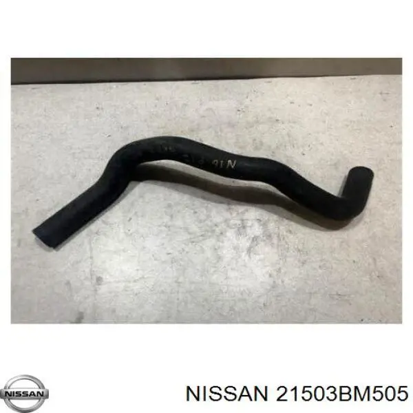 Compre 21503BM505 Nissan/Infiniti Mangueira (cano derivado) inferior do radiador de esfriamento