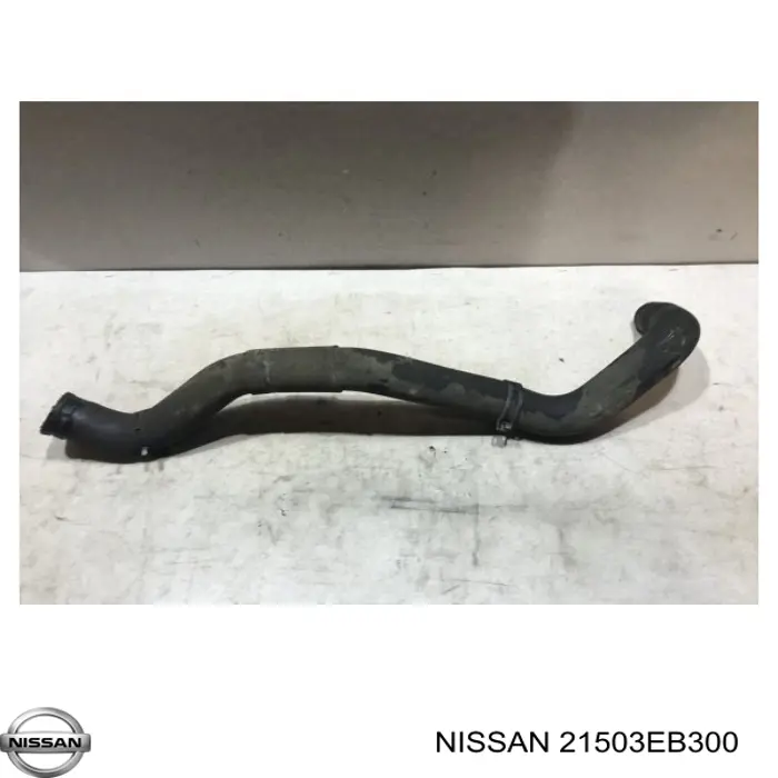 Compre 21503EB300 Nissan/Infiniti Mangueira (cano derivado) inferior do radiador de esfriamento