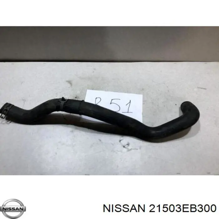 Mangueira (cano derivado) inferior do radiador de esfriamento Nissan/Infiniti 21503EB300 preço, a partir de 29,65 USD