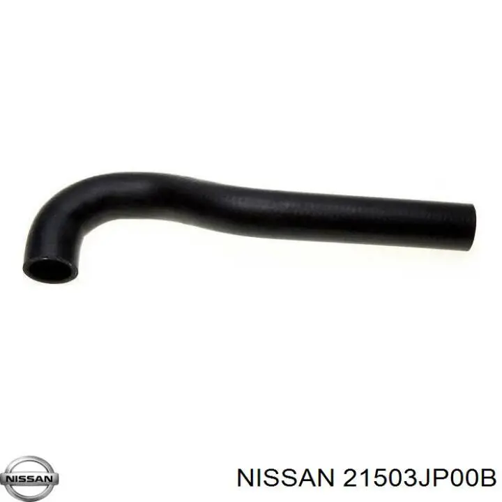 21503JP00B Nissan/Infiniti Mangueira (cano derivado) inferior do radiador de esfriamento